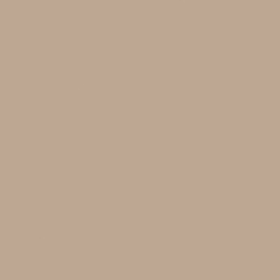 Smoked Trout Paint
