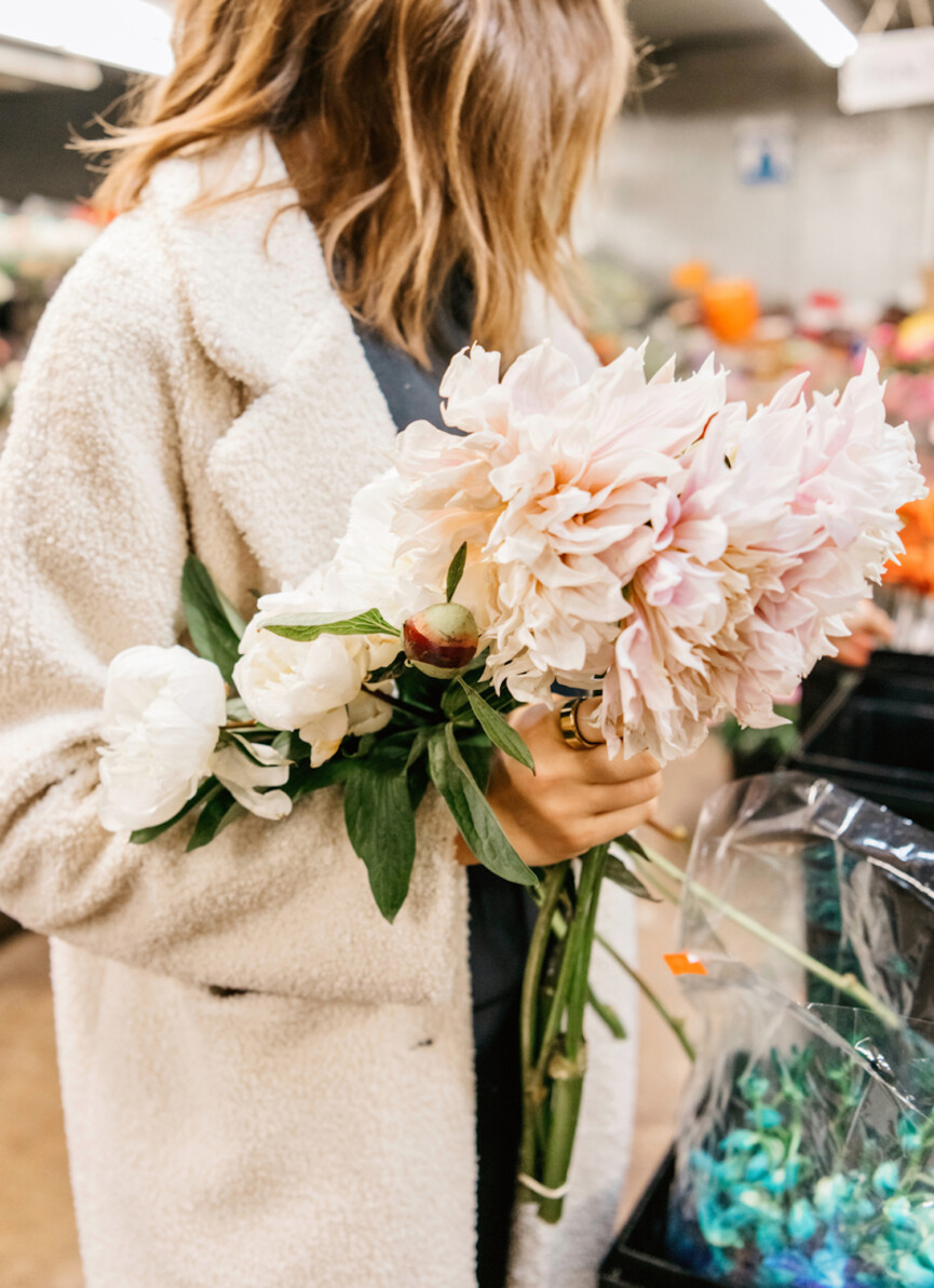 Cafe au lait dahlias