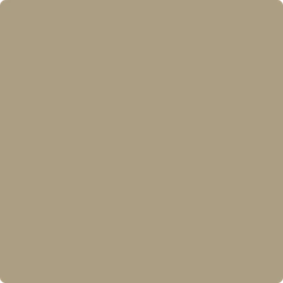 Shiitake Mushroom, Benjamin Moore
