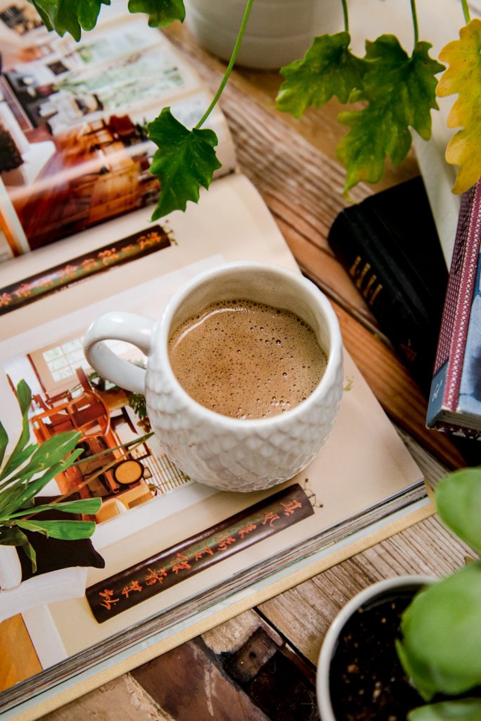 protein-packed mushroom collagen coffee