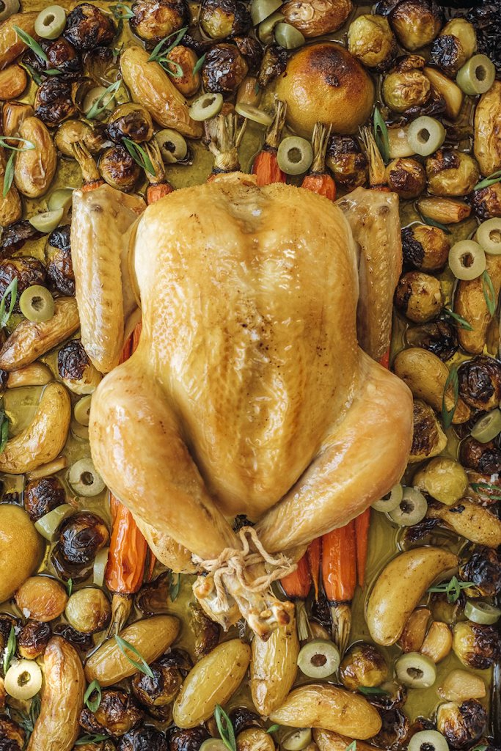 roasted chicken & vegetable confit