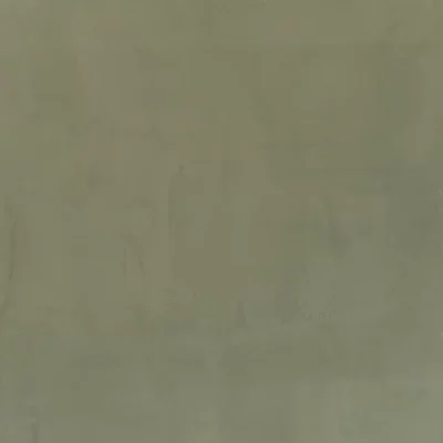Highland Roman Clay, Portola Paints