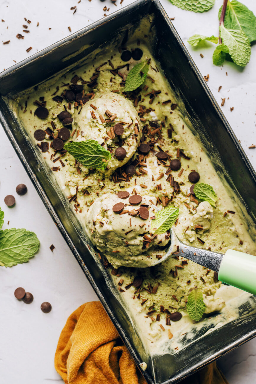 Mint Chocolate Chip Ice Cream