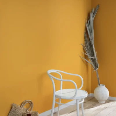 Benjamin Moore Spicy Mustard wall