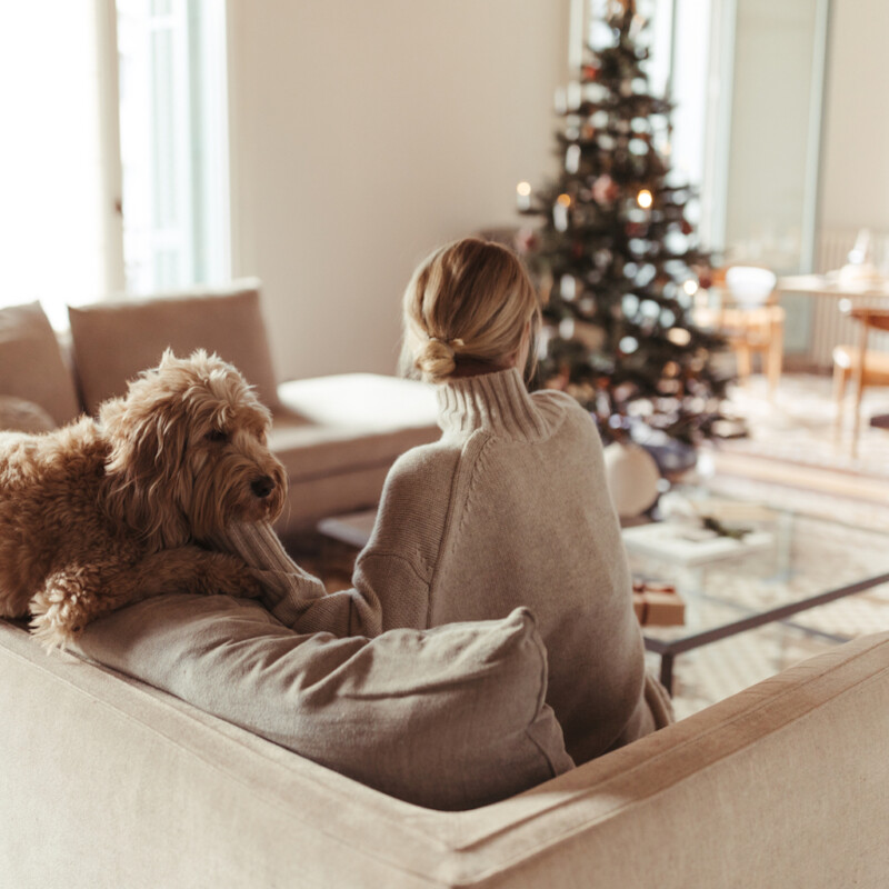 Woman putting dog in front of Christmas tree