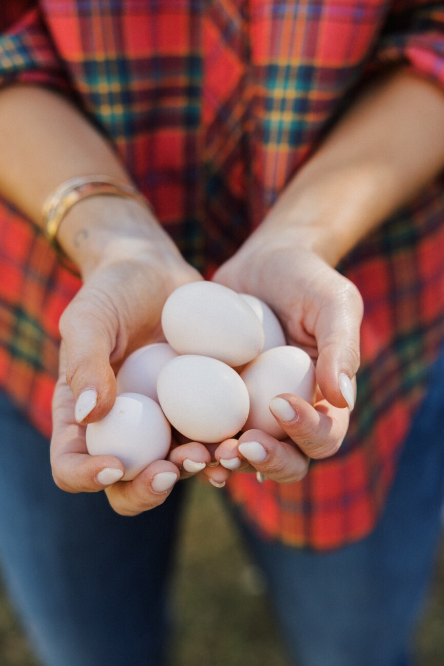 Mari Llewellyn with eggs