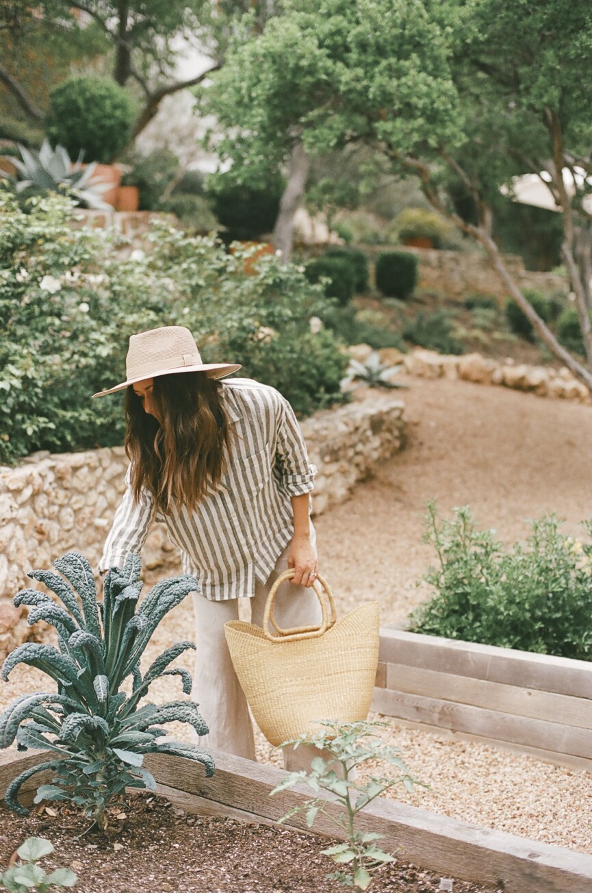 spring refresh - gardening