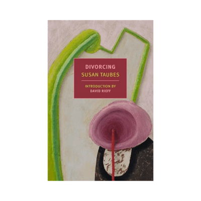 Divorcing by Susan Taubes