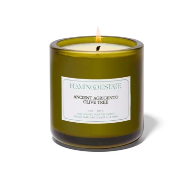 ancient agrigento olive tree candle