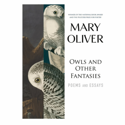 owls and other fantasies