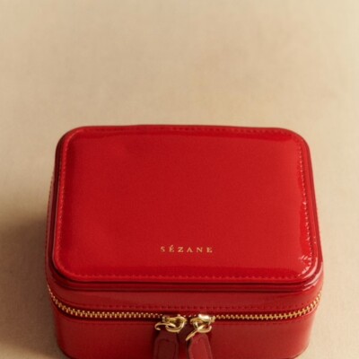 sezane large vinyl jewelry case