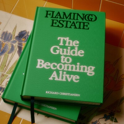the flamingo estate guide to becoming alive