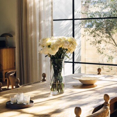 adriene mishler austin home