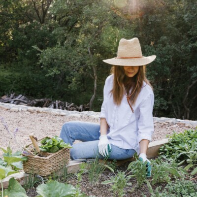 Camille Styles herbs to grow at home