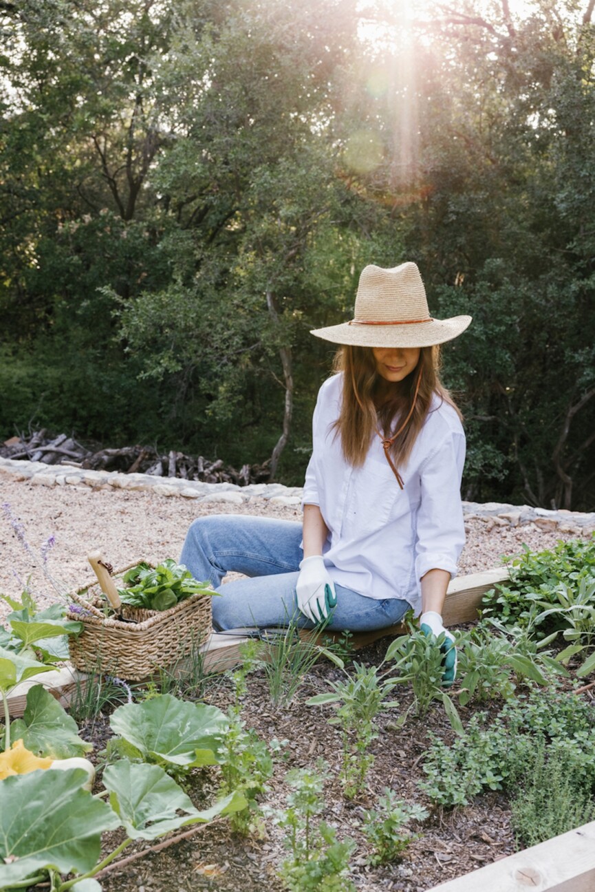 Camille Styles herbs to grow at home