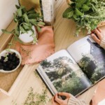 best summer cookbooks